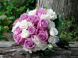 Hình bó hoa hồng đẹp nhất	